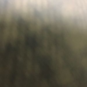 Meet your Posher, Tinasha